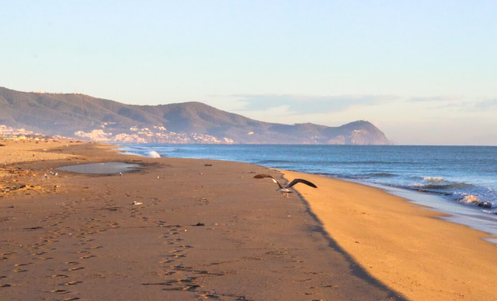 Martil, M'diq & Cabo Negro: Northern Morocco's Mediterranean Beach Coast (2026 Guide) The sandy Mediterranean beach at Martil near Tétouan, Morocco, with the Rif Mountains in the background
