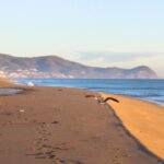 The sandy Mediterranean beach at Martil near Tétouan, Morocco, with the Rif Mountains in the background