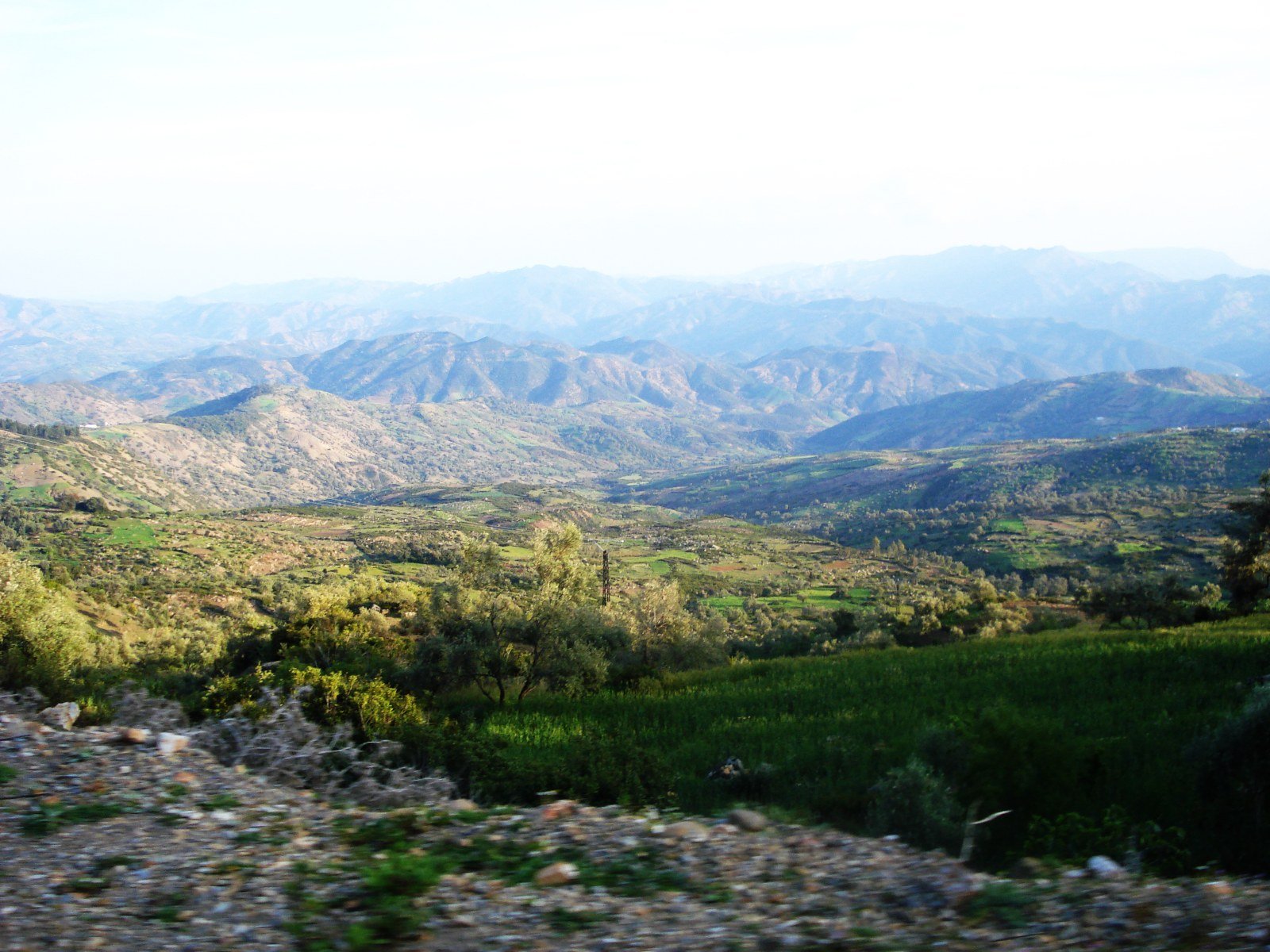 3 Days in Northern Morocco: The Perfect Tangier–Tétouan–Chefchaouen Itinerary (2026) Rolling green valley of the Rif Mountains near Chefchaouen, Morocco